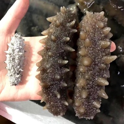 深海捕捞 本地传统老淡干纯淡干海参干货 30-60头/斤孕妇刺参图4