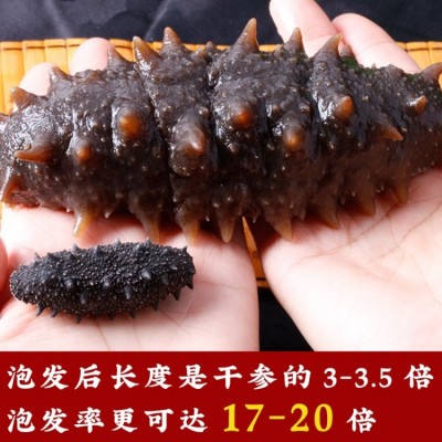 稀有9年参龄 深海捕捞 纯淡干海参干货20-30头/半斤 孕妇刺参图3