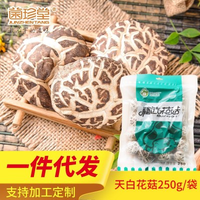 天白花菇3cm以上肉质厚实冬香菇 土特产袋装干货礼品厂家一件代发图3