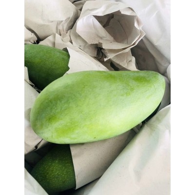 大青芒正宗大芒果青皮青皮金煌芒净果9斤图2