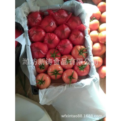 出口西红柿（基地种植、厂家直供）图1
