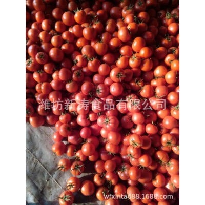出口西红柿（基地种植、厂家直供）图5