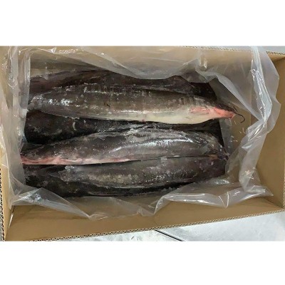 单冻鲶鱼渡冰鲇鱼塘虱可包冰90%净重条数5-7条/箱规格1000-2500克图3
