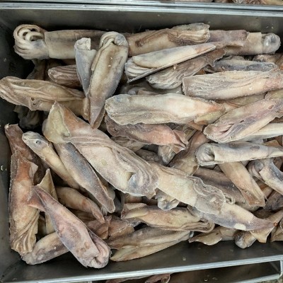 单冻鱿鱼40-80克海鲜水产品小真鱿鱼飞机头鱿鱼 可按要求定重包冰图5