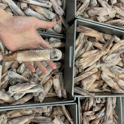 单冻鱿鱼40-80克海鲜水产品小真鱿鱼飞机头鱿鱼 可按要求定重包冰图3