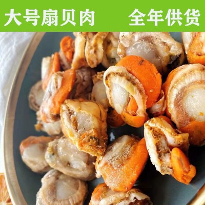 扇贝肉 直孔贝肉 冻煮全贝 去脏单冻 全规格直销批发支持混批图5