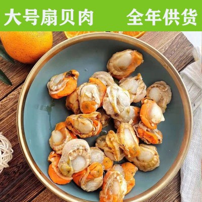 扇贝肉 直孔贝肉 冻煮全贝 去脏单冻 全规格直销批发支持混批图3