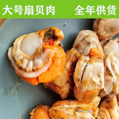 新鲜冷冻超大个扇贝肉海鲜火锅烧烤食材蒜蓉粉丝无冰衣扇贝肉图2