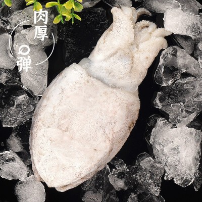 舟山东海场地货源墨鱼液氮冷冻乌贼海鲜特产批发代发500g/2只图2