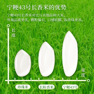 昊帅宁粳43号大米10kg长粒香大米 一年一季宁夏大米颗粒饱满20斤图3