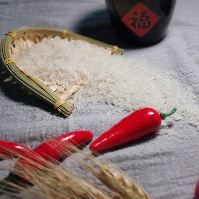 25kg大米长颗粒香大米茉莉香米特色农产品饭店用米粮油大米50斤装图2
