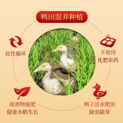 2022年新米上市 昊帅长粒香大米一年一季宁夏大米虎虎生威系列5kg图4