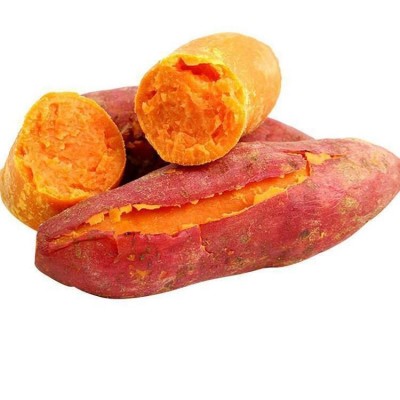 大个新鲜红薯优质淀粉 鲜美香甜 皮薄易剥 蒸煮烤制图2