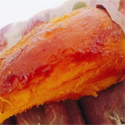 现挖现发 农科院研制 烟薯25号 皮薄肉厚 香甜爽口图4