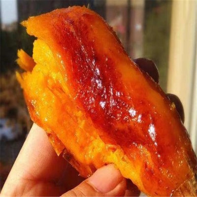 现挖现发 农科院研制 烟薯25号 皮薄肉厚 香甜爽口图3