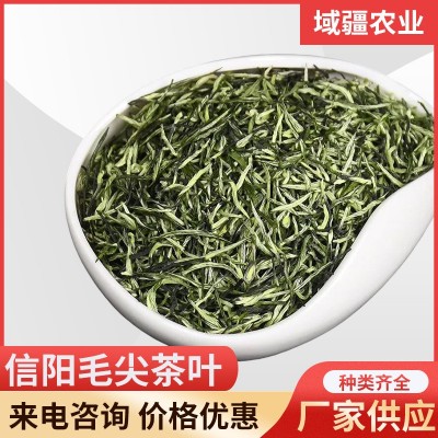 绿茶茶叶信阳毛尖2023新茶明前春茶原产地茶叶批发图1