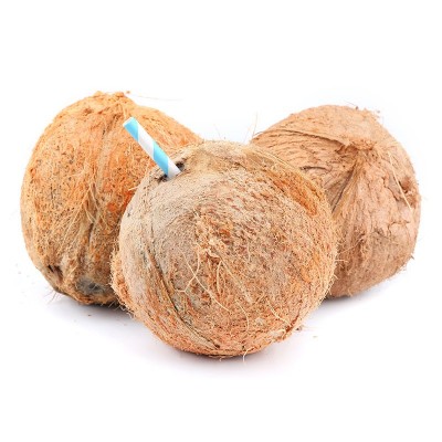 【全年供应】海南毛椰子 新鲜老椰子特产水果毛椰子孕妇椰青代发