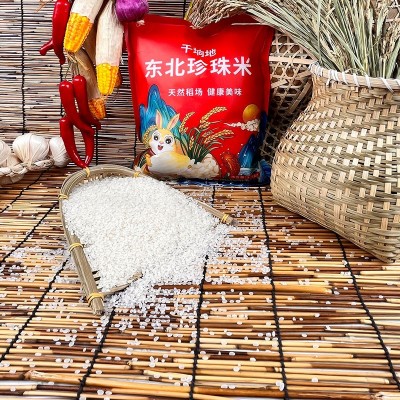 东北珍珠米批发五常大米5斤千垧地小袋装香米煮粥圆粒大米包邮图3
