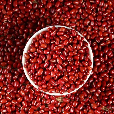 东北红豆批发货源2022年红小豆珍珠红中粒大粒杂粮超市品质25kg图2