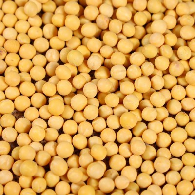 东北敦化产地黄豆批发源头加工定制工厂杂粮商超品质黄豆大粒小粒图2