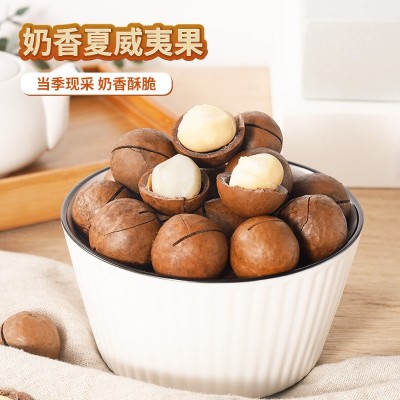 新货夏威夷果大颗粒500g罐装奶油味干果送开口器散装坚果零食批发图2