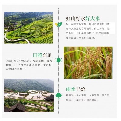 2022湖南高山梯田香米生态闭环古法种植营养健康 产地直供 5KG图3