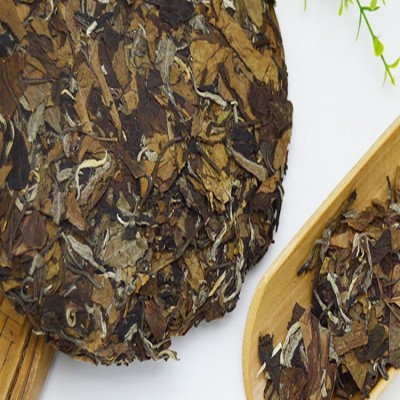 2010福鼎白茶如意寿眉老白茶茶饼 高山白茶厂家批发图3