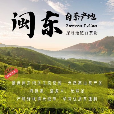 2018年福建福鼎的老白茶饼贡眉寿眉茶叶350g厂家直销茶叶批发图4