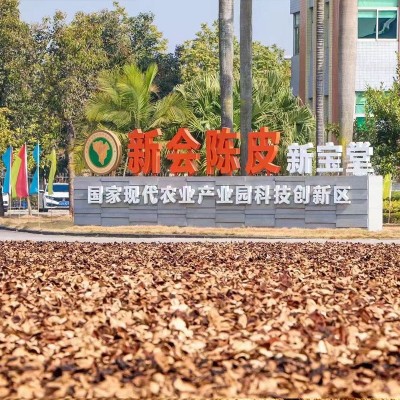 新宝堂新会陈皮10年15年20年陈皮干福泽瓶装老陈皮250克 厂家批发图4