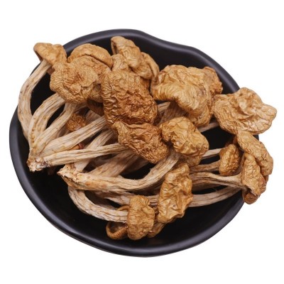 滑子菇干货古田珍珠菇农家特产小黄蘑黄菇滑菇香菇食用菌菌菇蘑菇图3