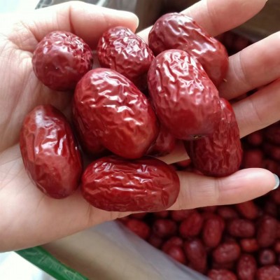新疆特产红枣批发代发500g 若羌灰枣新货熬粥包粽子枣大个红枣图4