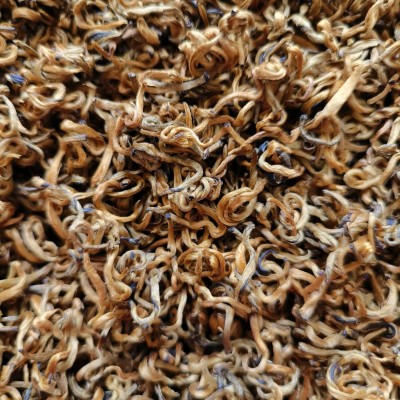 【特级半曲】云南凤庆滇红茶 蜜香半曲 单芽金丝古树红茶特级红茶图2