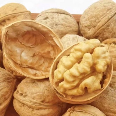 新疆特产185纸皮核桃批发500g 手剥新核桃大果坚果零食薄皮生核桃图4