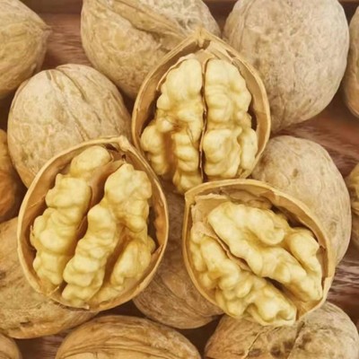 新疆特产185纸皮核桃批发500g 手剥新核桃大果坚果零食薄皮生核桃图3