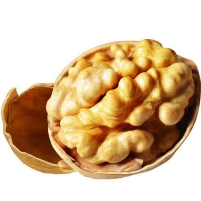 新疆特产185纸皮核桃批发500g 手剥新核桃大果坚果零食薄皮生核桃图5