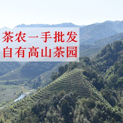 2023春茶浓香大红袍武夷岩茶高山新茶乌龙茶散装熟茶500g茶叶批发图3