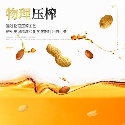 900ml金桥花生油压榨花生浓香油食用油 调和油色拉油粮油一件代发图2
