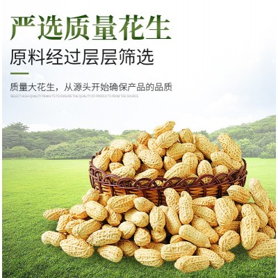 900ml金桥花生油压榨花生浓香油食用油 调和油色拉油粮油一件代发图3