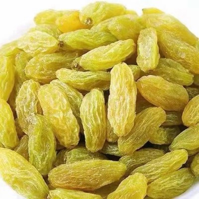 新疆特产黄葡萄干大量批发代发250g 吐鲁番树上黄煮粥果干葡萄干图2
