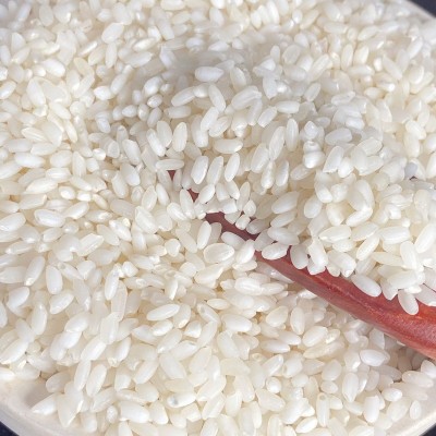 当季新米笑弯腰罗河南粳9108大规格25KG50斤大规格独立包装团购礼图4
