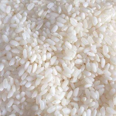 当季新米笑弯腰罗河南粳9108大规格25KG50斤大规格独立包装团购礼图5