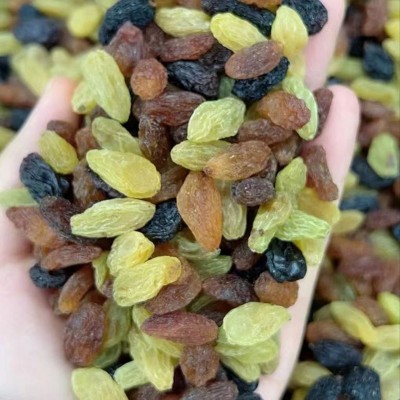 新货四色葡萄干新疆特产非特级超大免洗提子干黑加仑商用零食批发图3