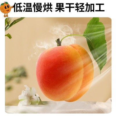 香妃蜜语红杏干无核肉厚水果干杏肉果脯饱满袋装100g批发一件代发图3