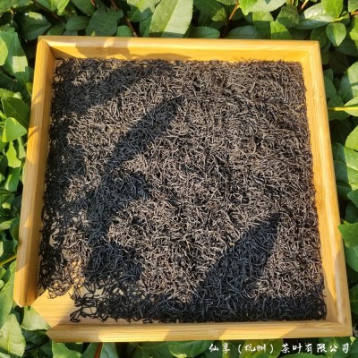 2023九曲红梅杭州西湖原产地龙井红茶工夫红茶散茶叶厂家批发500g图3
