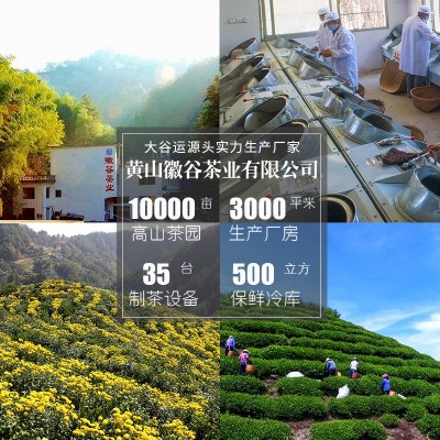 徽谷安徽黄山毛峰批发款高山绿茶浓香茶叶毛尖250克散装毛峰图3