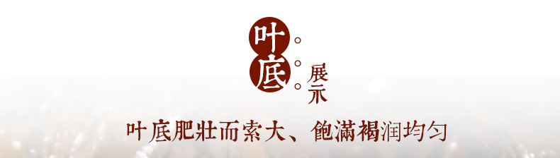 老班章古树熟茶砖250g_29.jpg
