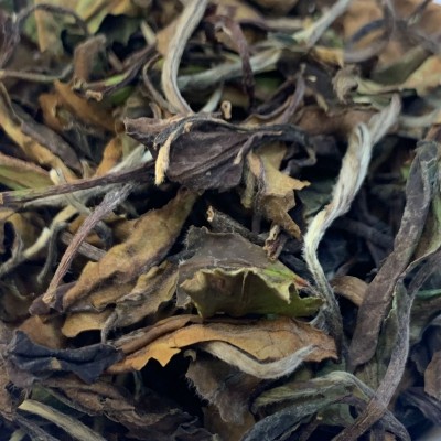 白茶散茶高山老寿眉茶叶袋装散装厂家批发图2