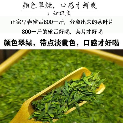 2023年新茶雀舌茶片明前绿茶雀舌碎茶叶贵州湄潭翠芽春茶散装批发图3