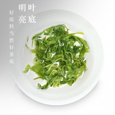 高山云雾绿茶茶叶贵州湄潭毛峰新茶浓香型老茶客实惠口粮茶图3