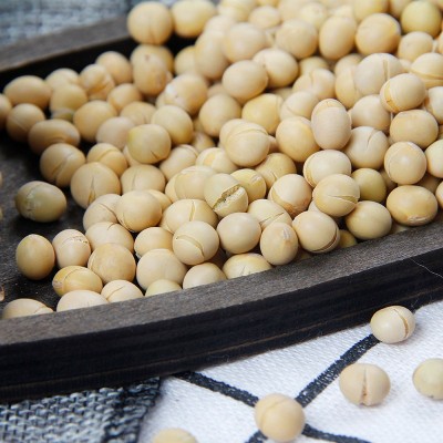 低温烘焙熟五谷杂粮东北熟大豆五谷现磨粉豆浆原料 熟黄豆图4